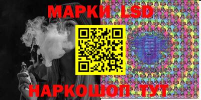apvp Кингисепп