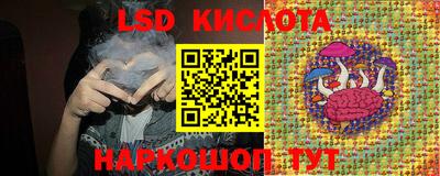 apvp Кингисепп