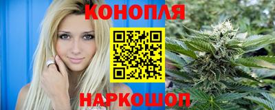 apvp Кингисепп