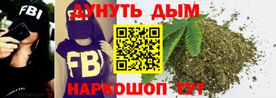 apvp Кингисепп