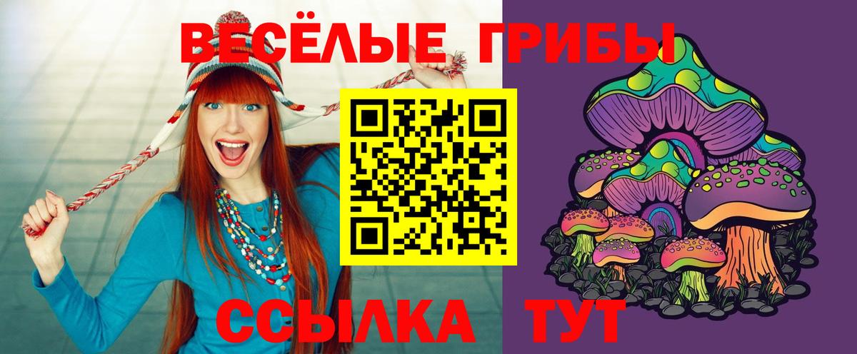 Галлюциногенные грибы Psilocybine cubensis Шебекино