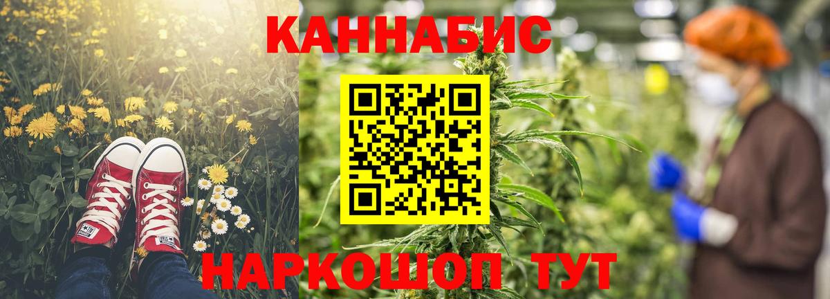 Каннабис планчик Шебекино